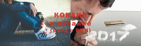 крисы Елизово
