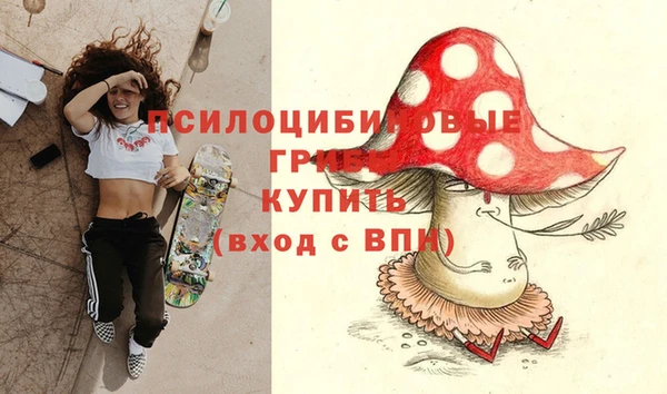 таблы Елабуга